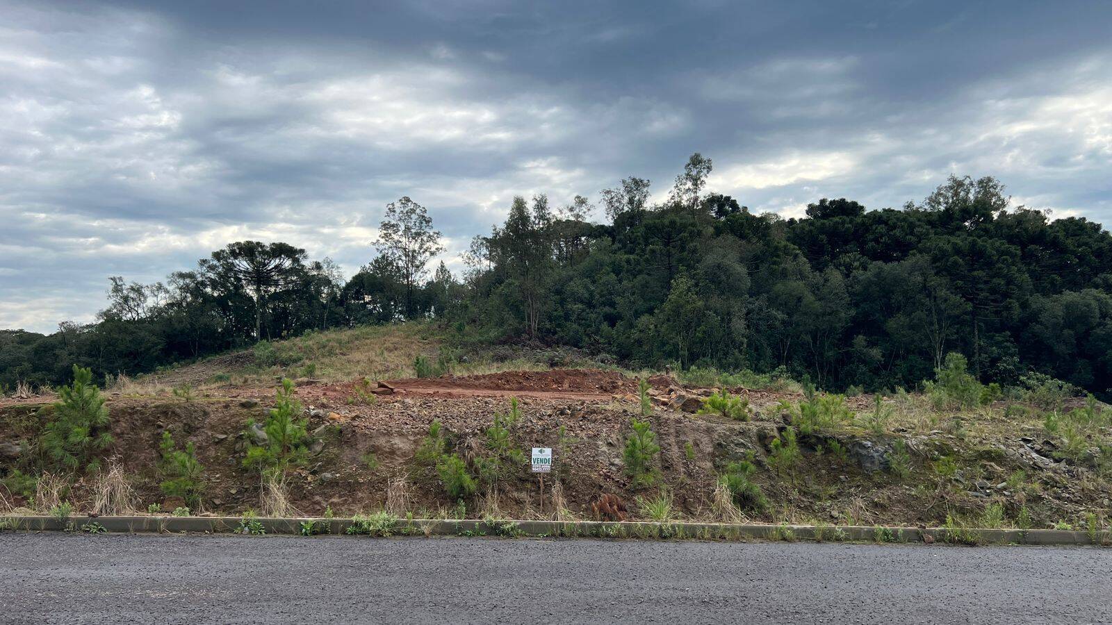 #280 - Terreno para Venda em Flores da Cunha - RS