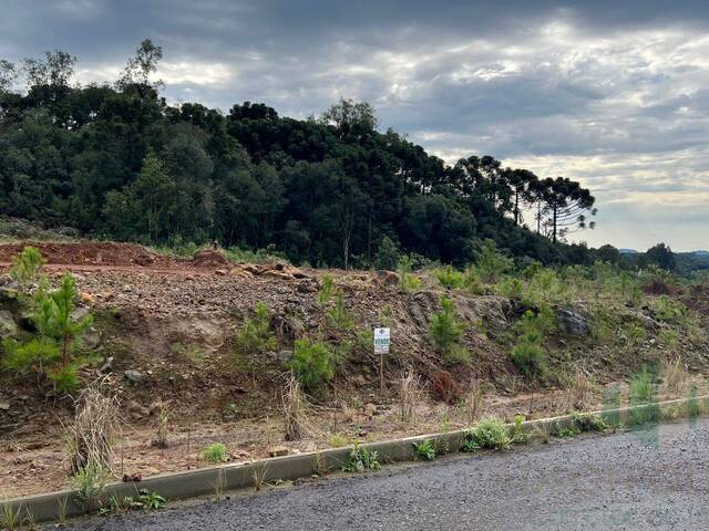 #280 - Terreno para Venda em Flores da Cunha - RS - 2