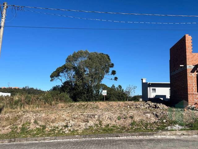 #281 - Terreno para Venda em Flores da Cunha - RS - 1