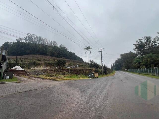 #282 - Terreno para Venda em Flores da Cunha - RS - 1