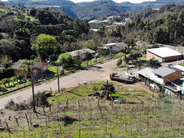 #282 - Terreno para Venda em Flores da Cunha - RS