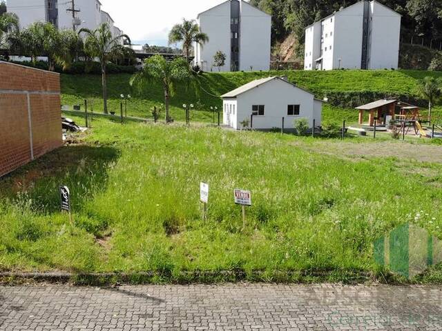 #286 - Terreno para Venda em Flores da Cunha - RS