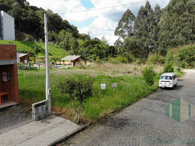 #286 - Terreno para Venda em Flores da Cunha - RS