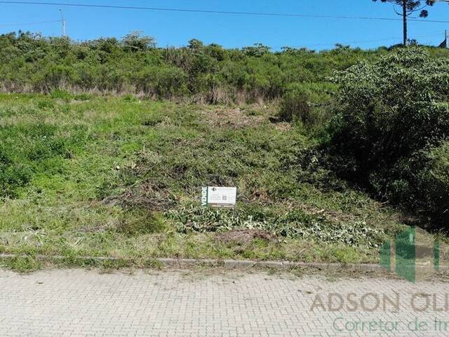 #287 - Terreno para Venda em Flores da Cunha - RS - 3