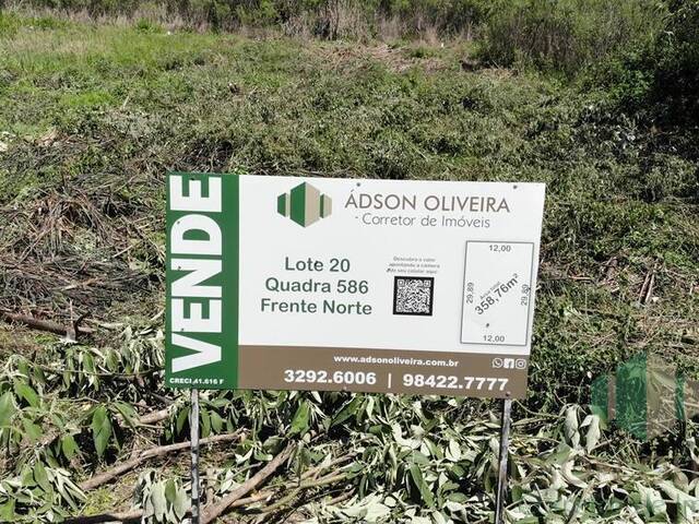 #287 - Terreno para Venda em Flores da Cunha - RS - 1