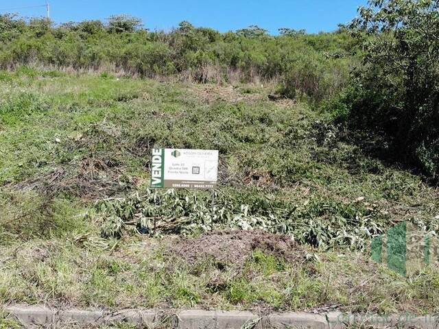 #287 - Terreno para Venda em Flores da Cunha - RS - 2