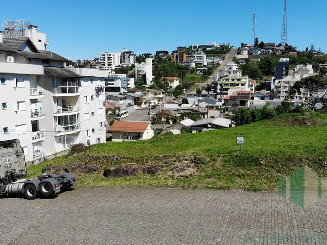 Venda em Aparecida - Flores da Cunha