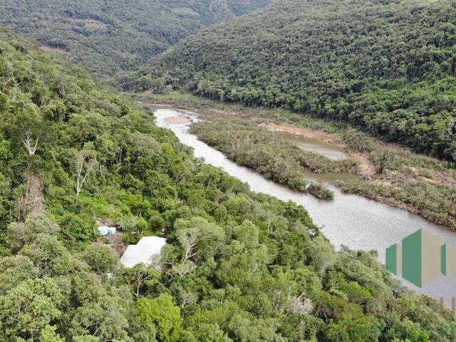 #295 - Chácara para Venda em Antônio Prado - RS - 1